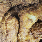 Best Fried Chicken in Palm Bay, FL